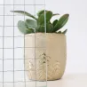 Verre armé Petite Maille